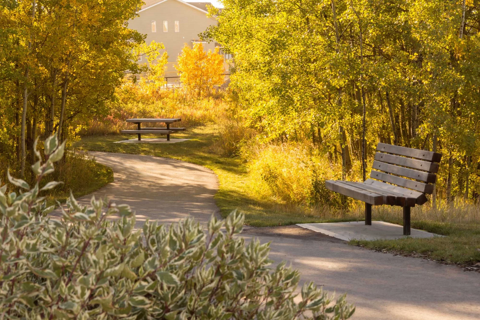 Pathway
