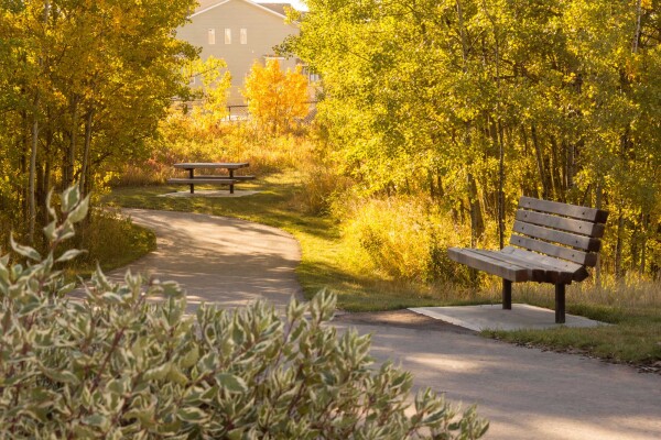 Pathway